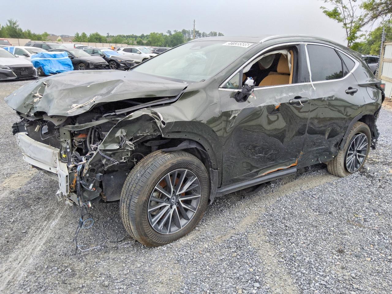 2026 LEXUS NX