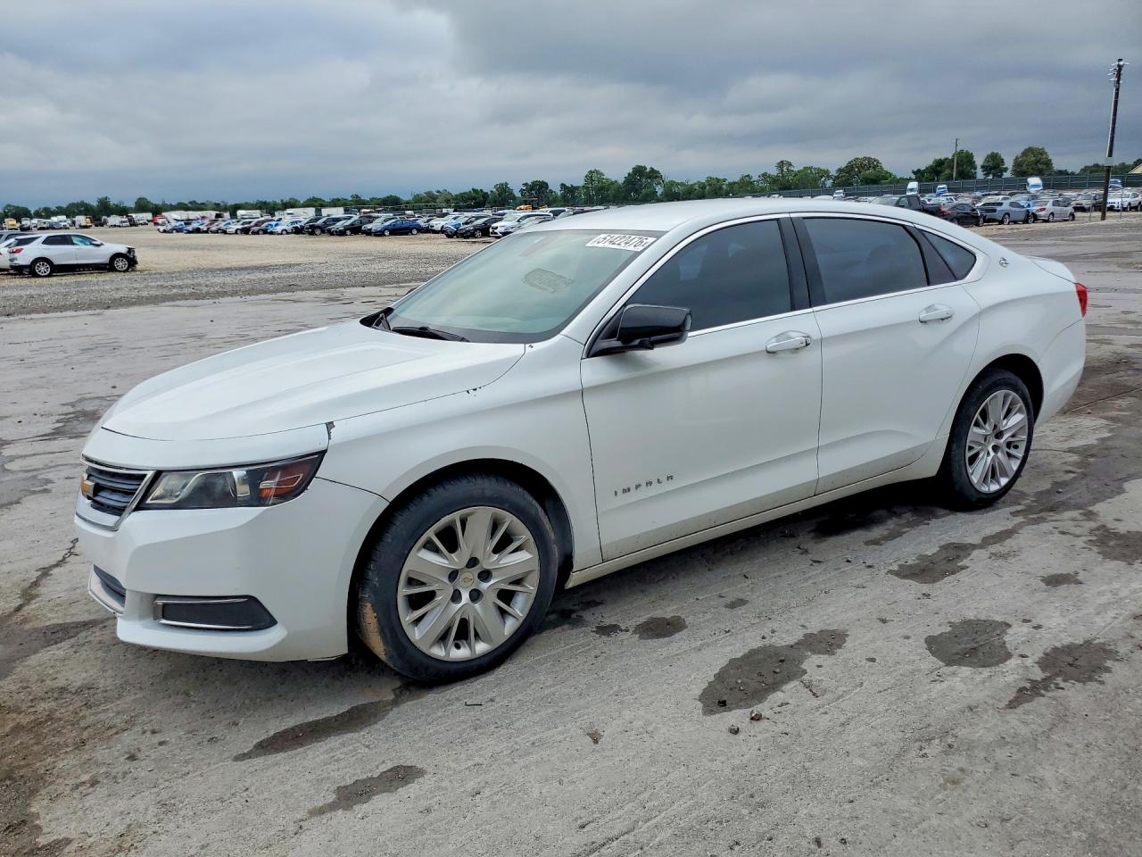 2G11Y5S32K9161582 · 2019 CHEVROLET IMPALA