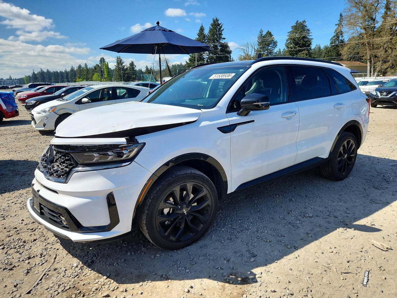 5XYRKDLF6PG233314 · 2023 KIA SORENTO