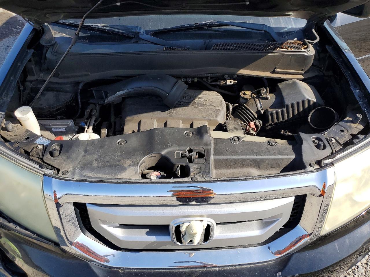 5FNYF4H48BB013891 · 2011 HONDA PILOT · 12/13