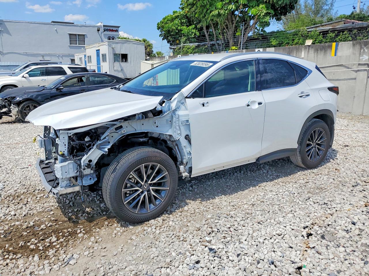 2T2ADCAZ0SC028005 · 2025 LEXUS NX 250