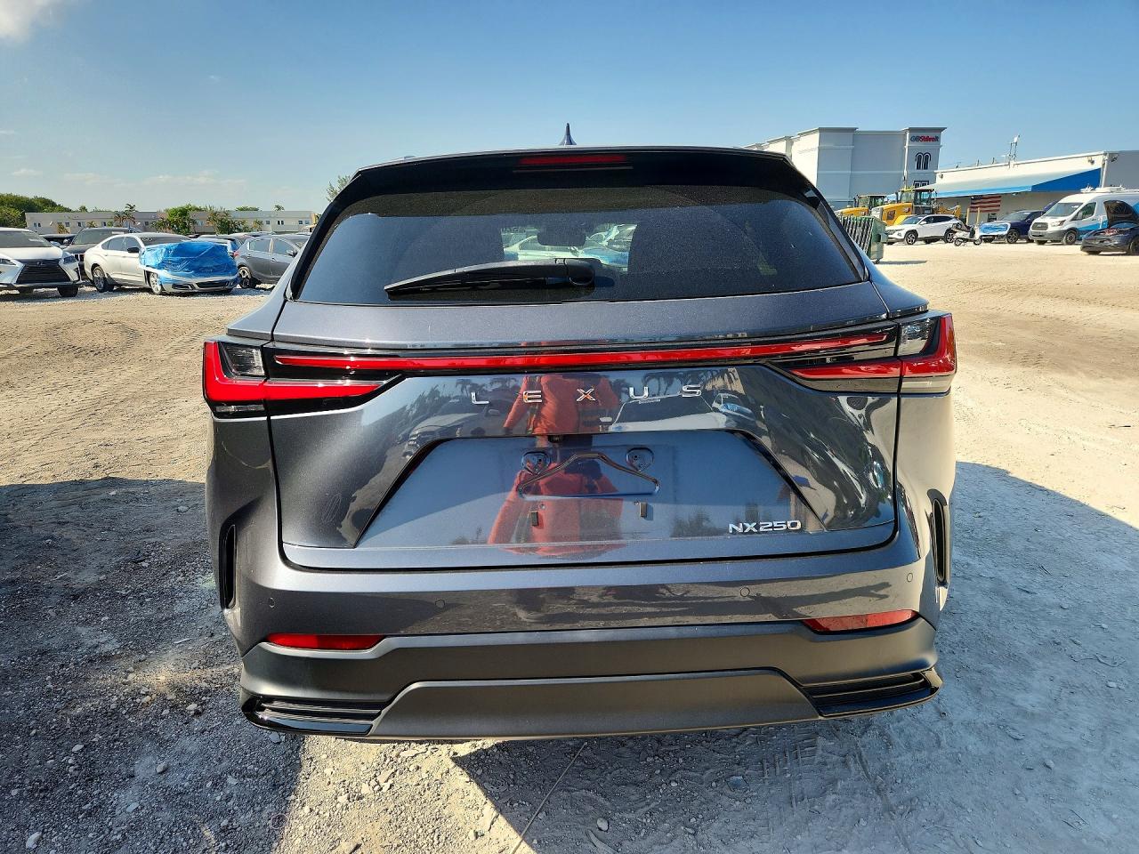 2T2GDCAZ0RC009197 · 2024 LEXUS NX · 6/12