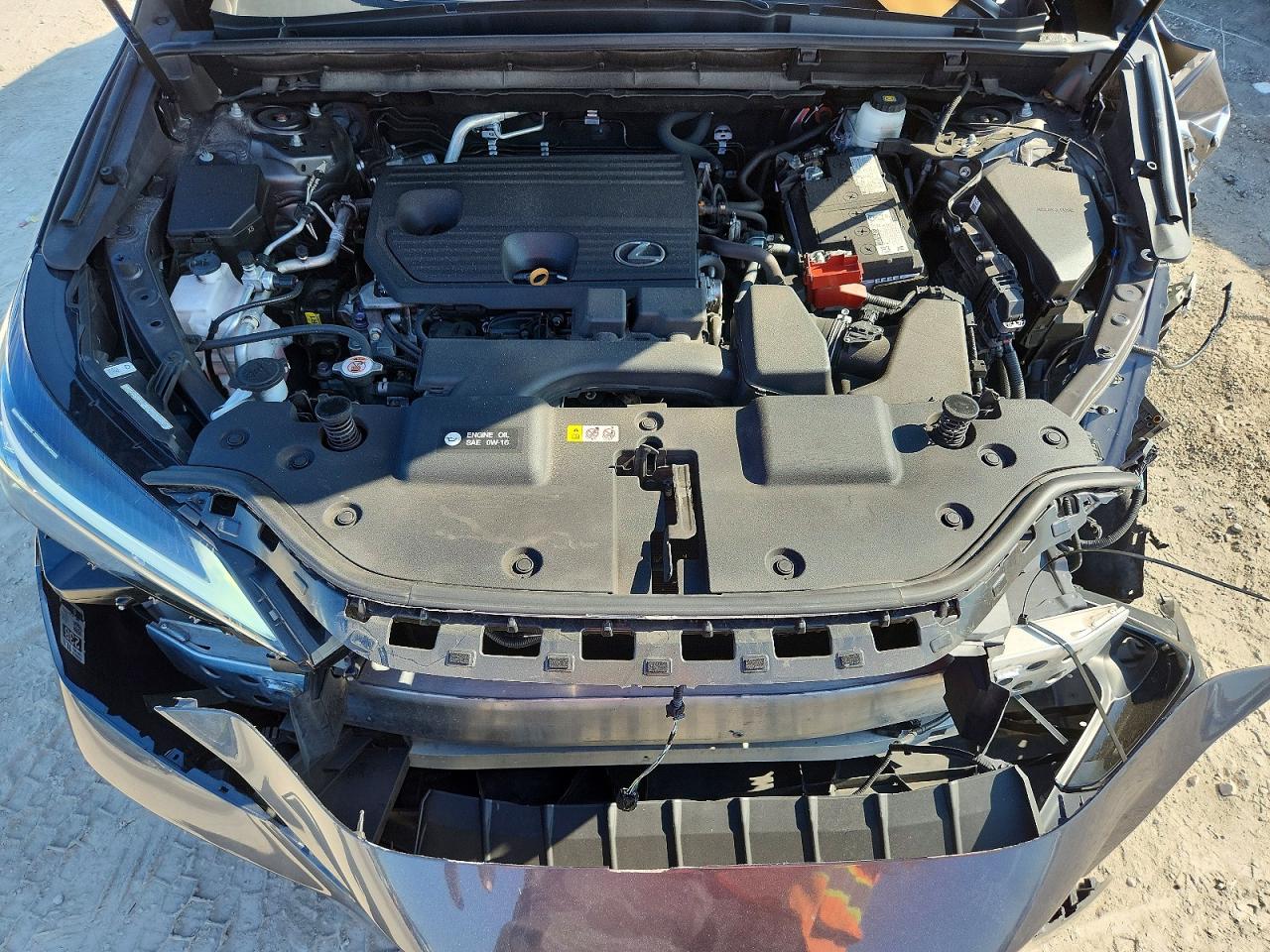 2T2GDCAZ0RC009197 · 2024 LEXUS NX · 11/12