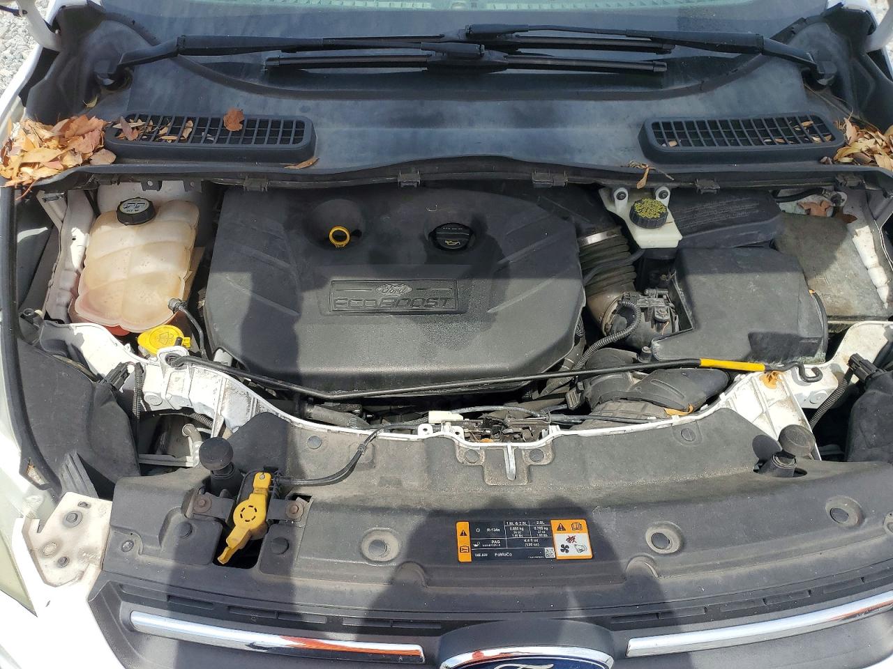 1FMCU0G9XDUC42083 · 2013 FORD ESCAPE · 11/12