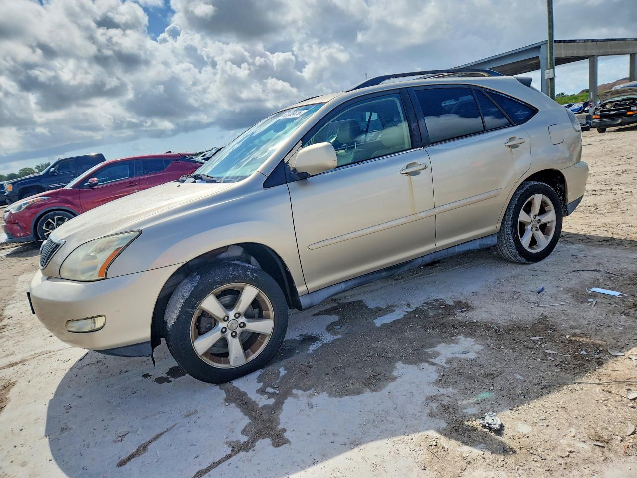 JTJGA31U440016641 · 2004 LEXUS RX
