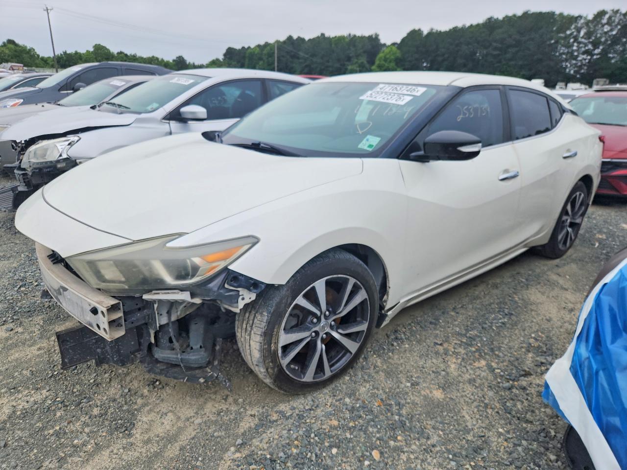 1N4AA6AP4GC411724 · 2016 NISSAN MAXIMA