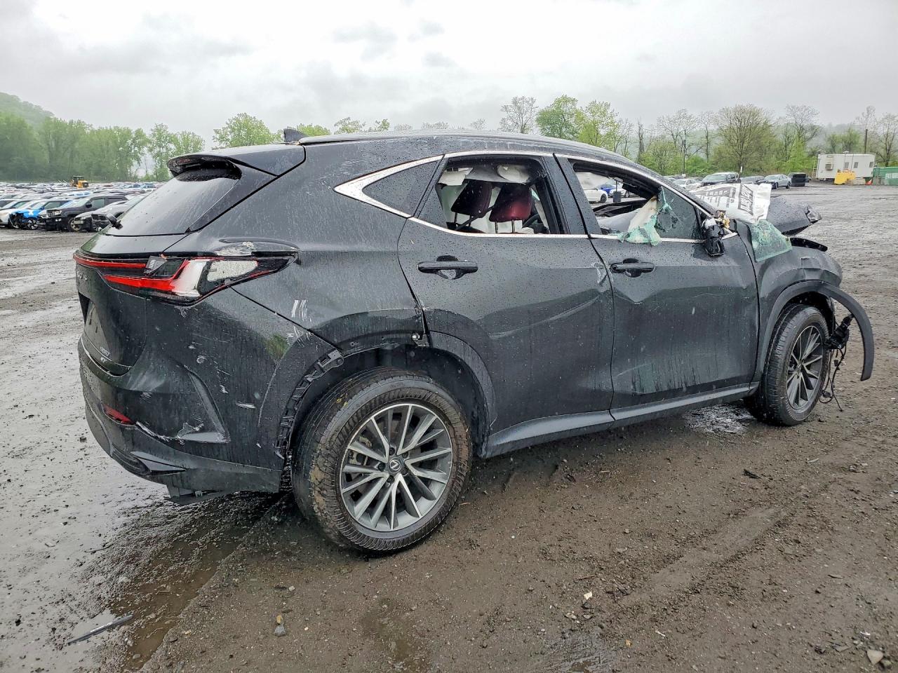 2T2GGCEZ3SC060538 · 2025 LEXUS NX 350 · 3/12