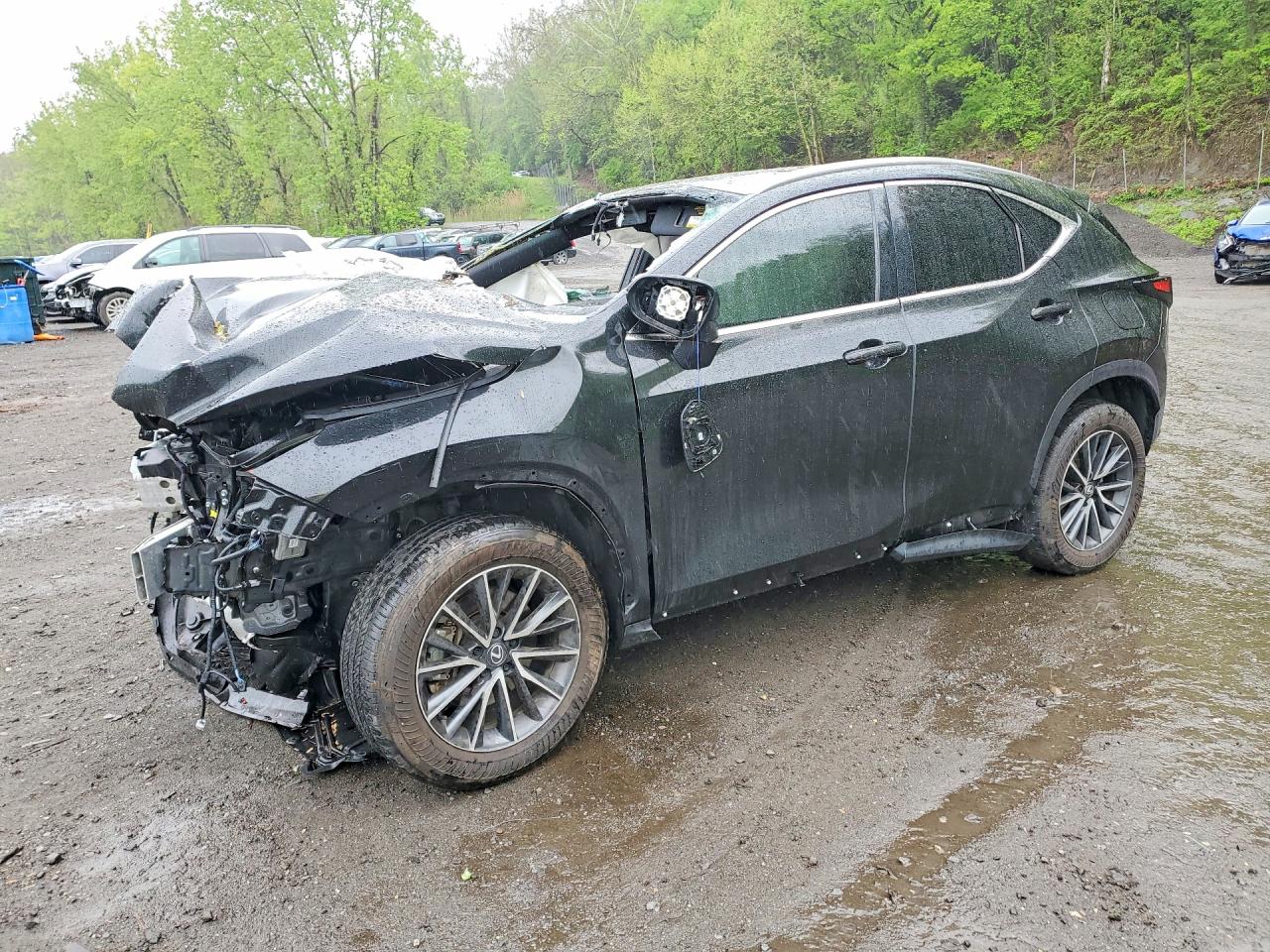2025 LEXUS NX 350