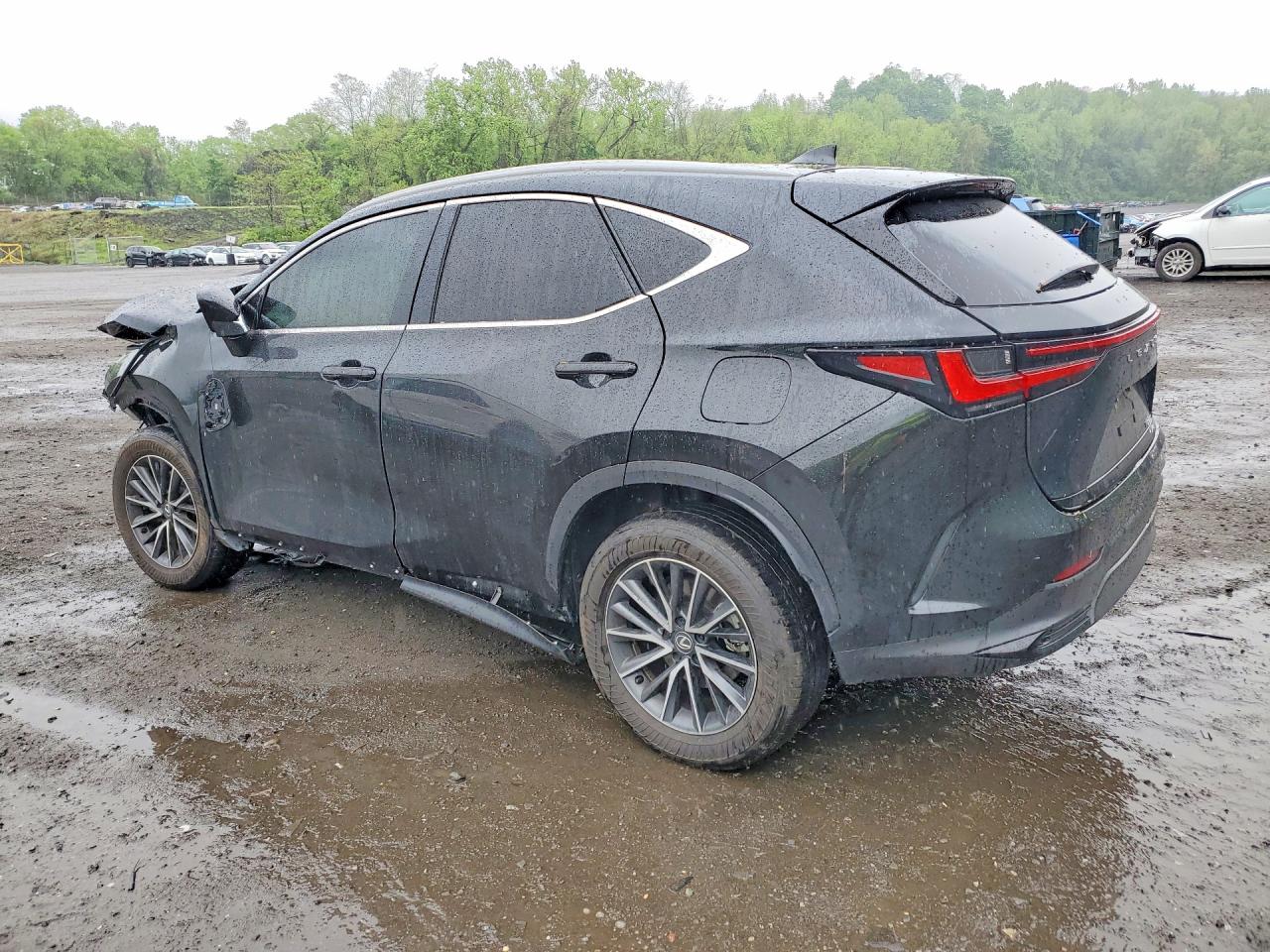 2T2GGCEZ3SC060538 · 2025 LEXUS NX 350 · 2/12