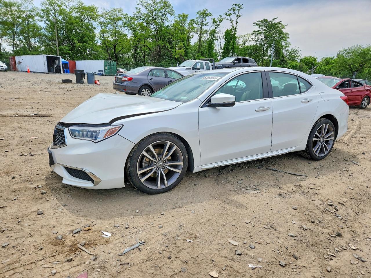 19UUB3F40KA001929 · 2019 ACURA TLX