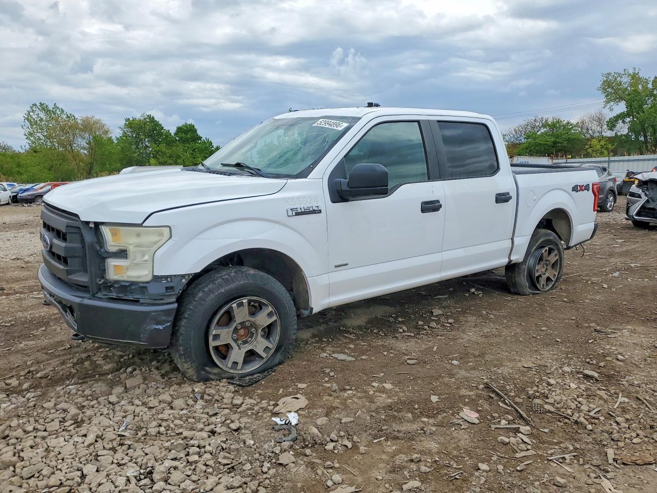 1FTEW1EG7FKE51889 · 2015 FORD F150