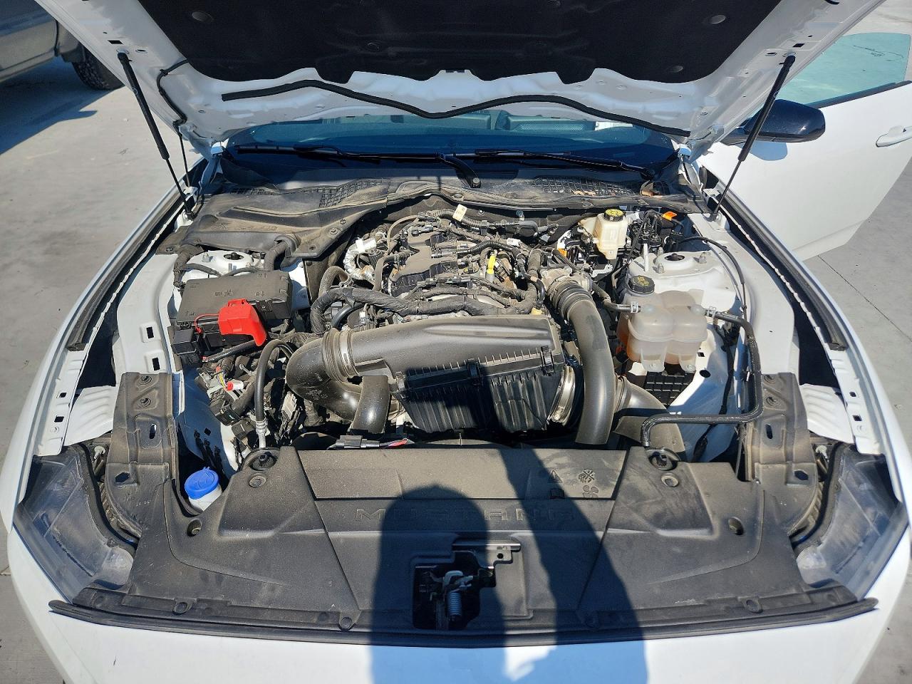 1FA6P8TH5S5113394 · 2025 FORD MUSTANG · 11/12