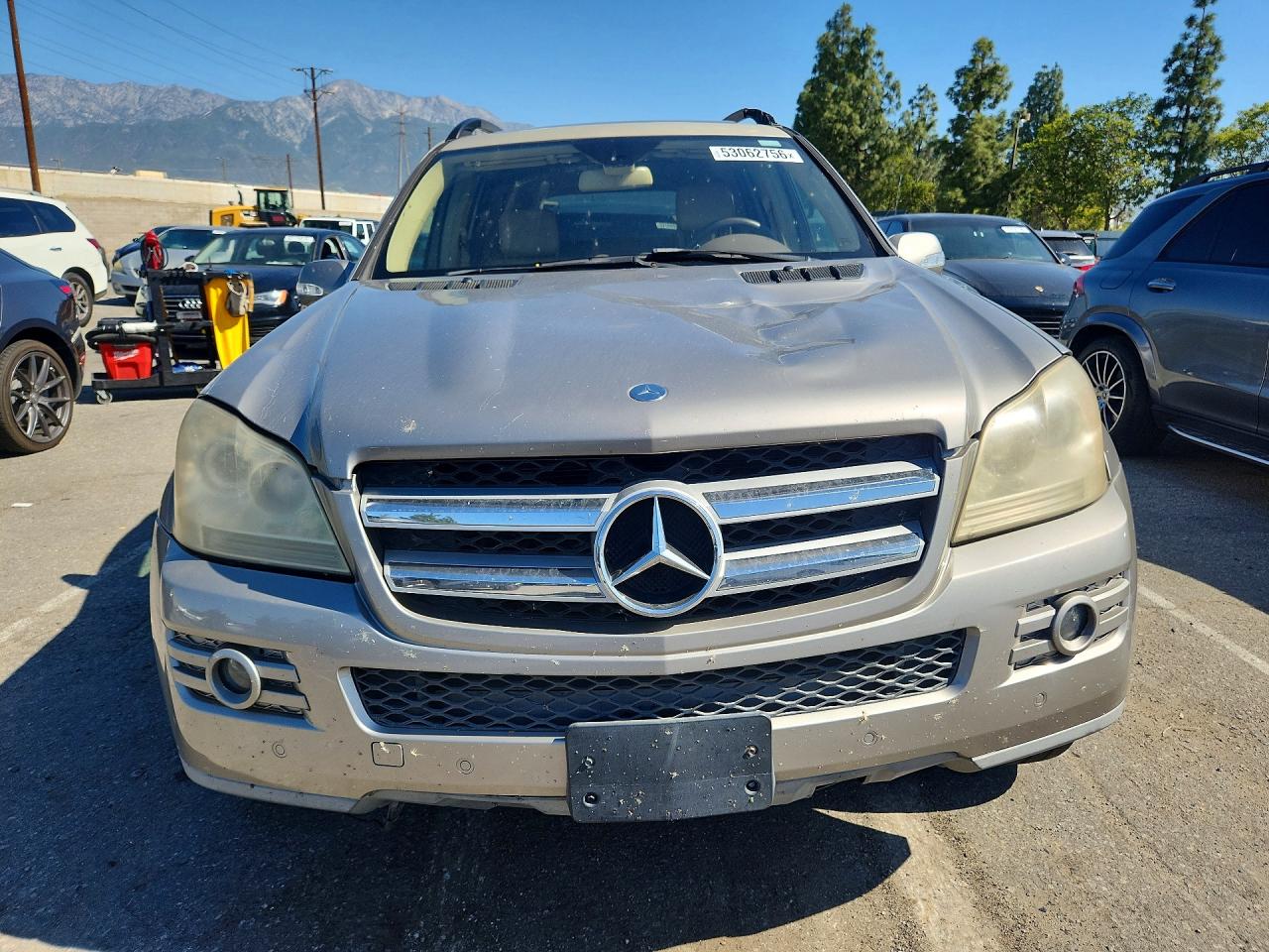 4JGBF71E17A162519 · 2007 MERCEDES-BENZ GL · 5/13