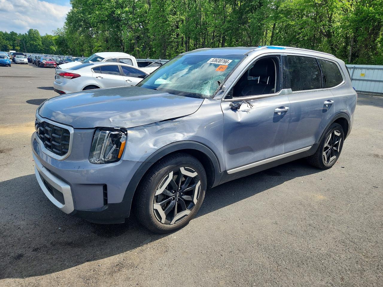 5XYP6DGC6RG502698 · 2024 KIA TELLURIDE