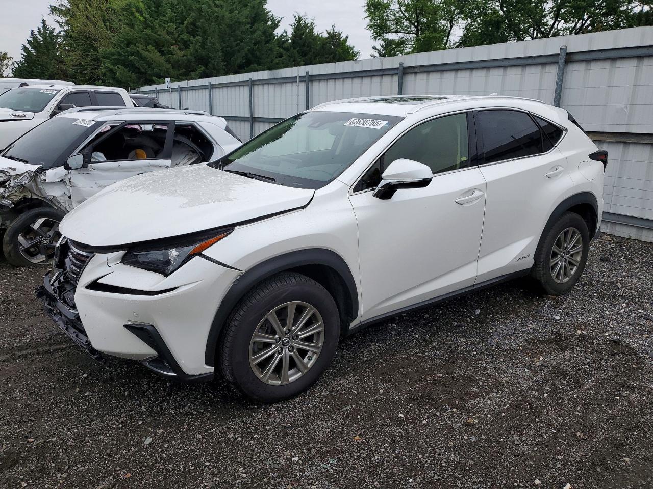 JTJBJRBZ8K2111423 · 2019 LEXUS NX