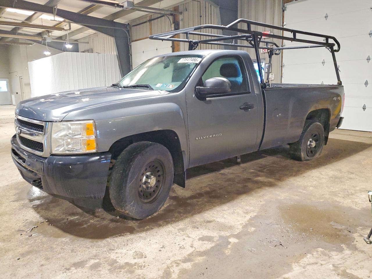 1GCNKPEX4BZ236504 · 2011 CHEVROLET SILVERADO