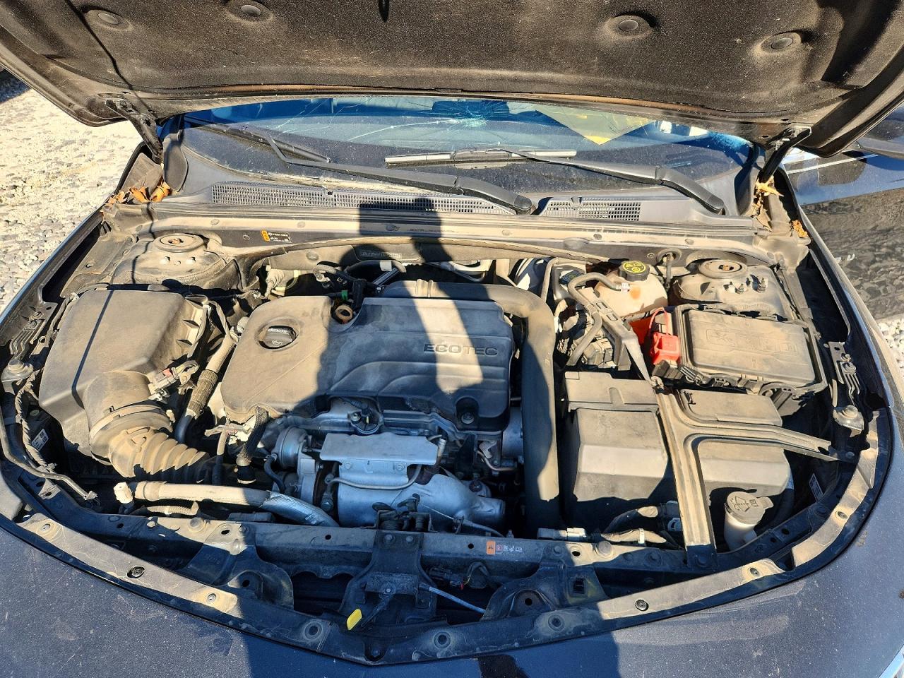1G1ZD5ST1KF123122 · 2019 CHEVROLET MALIBU  LT · 11/12