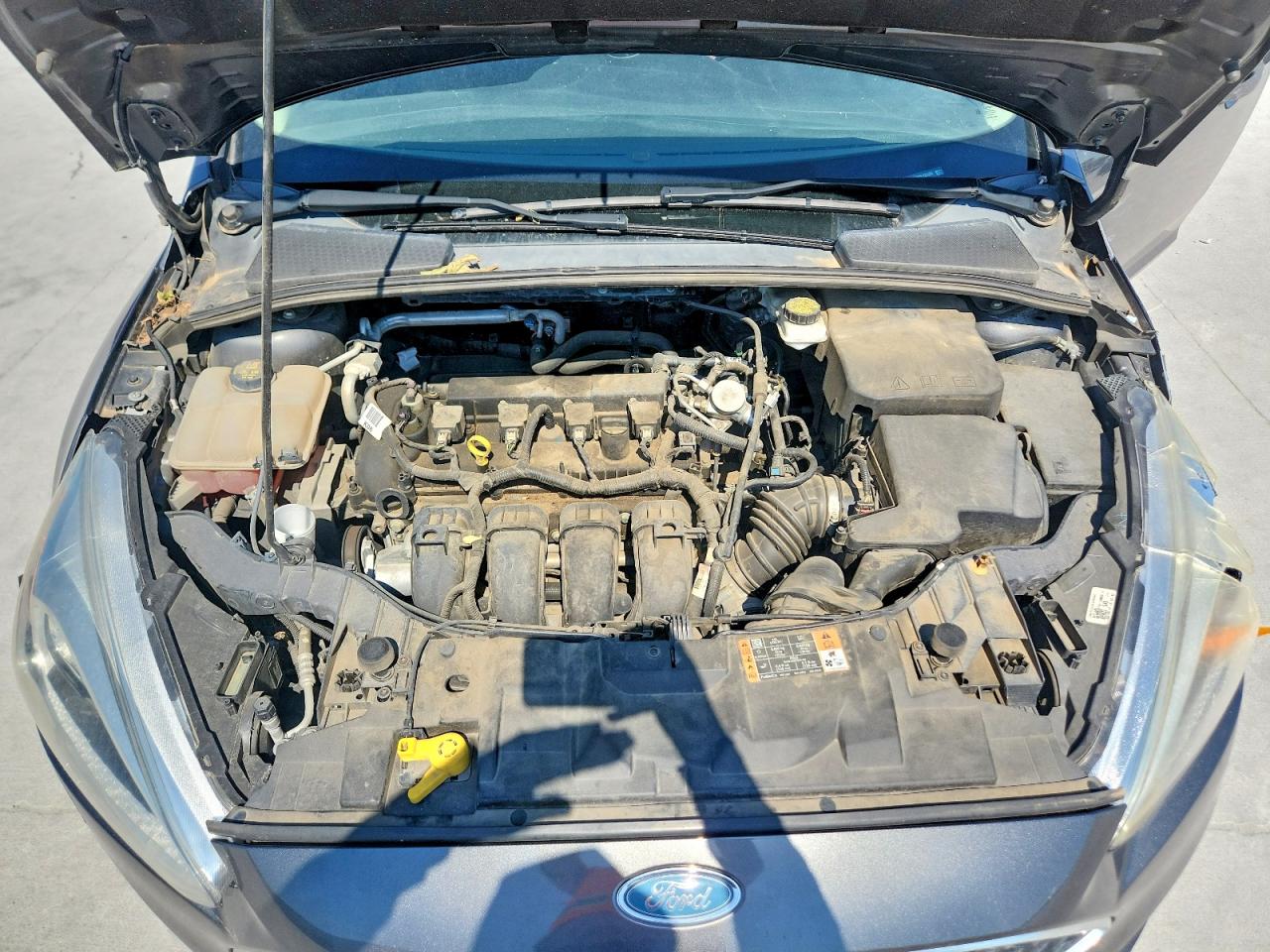 1FADP3E24HL332483 · 2017 FORD FOCUS · 11/13