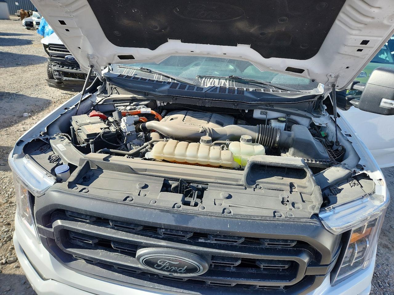 1FTFW1ED7PFC81876 · 2023 FORD F150 · 11/12
