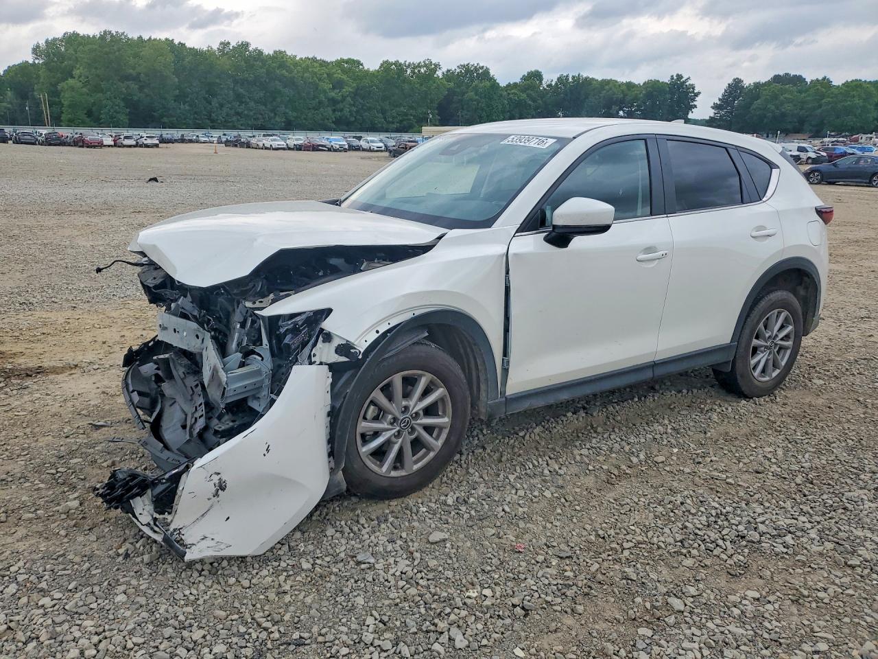 JM3KFBBM8P0195916 · 2023 MAZDA CX-5