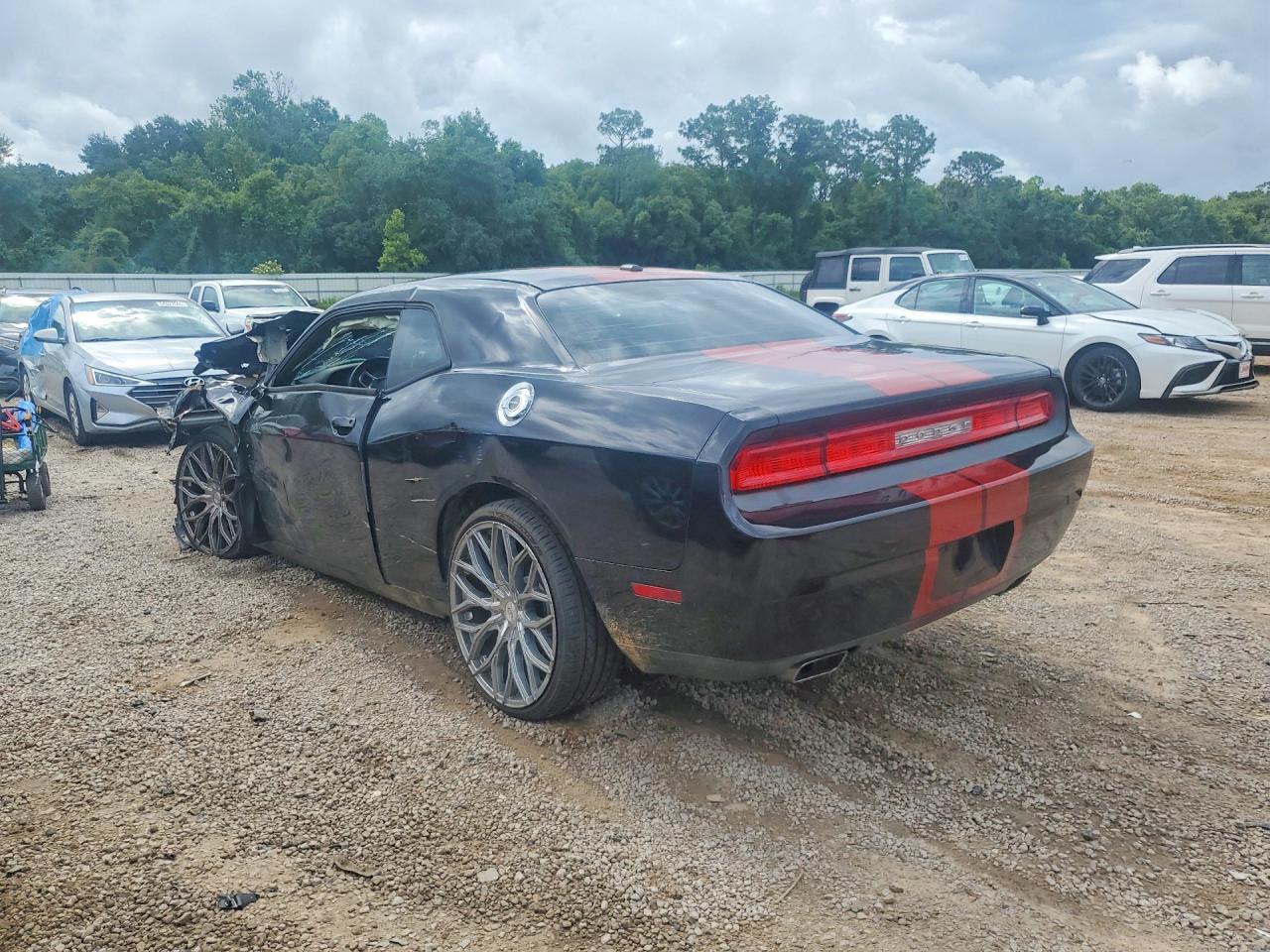 2C3CDYAG6EH302282 · 2014 DODGE CHALLENGER · 2/13