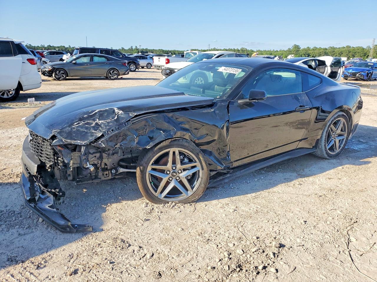 1FA6P8TH3T5101990 · 2026 FORD MUSTANG