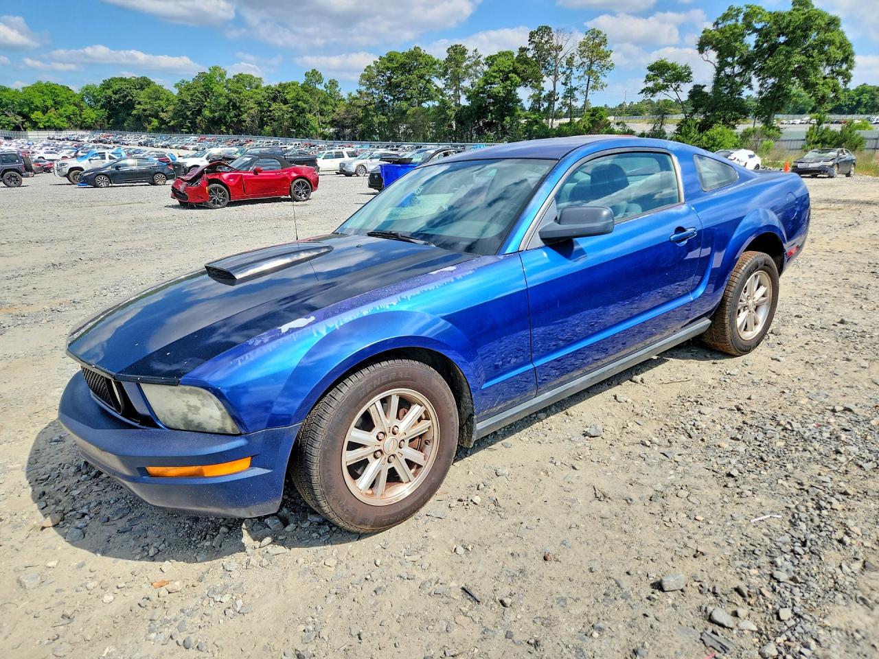 1ZVFT80N375273942 · 2007 FORD MUSTANG