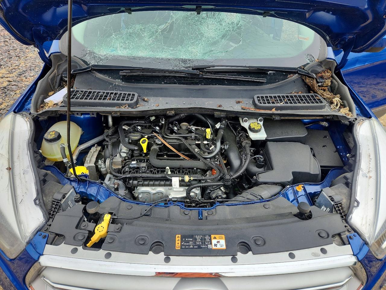 1FMCU9HD7KUB02724 · 2019 FORD ESCAPE · 11/12