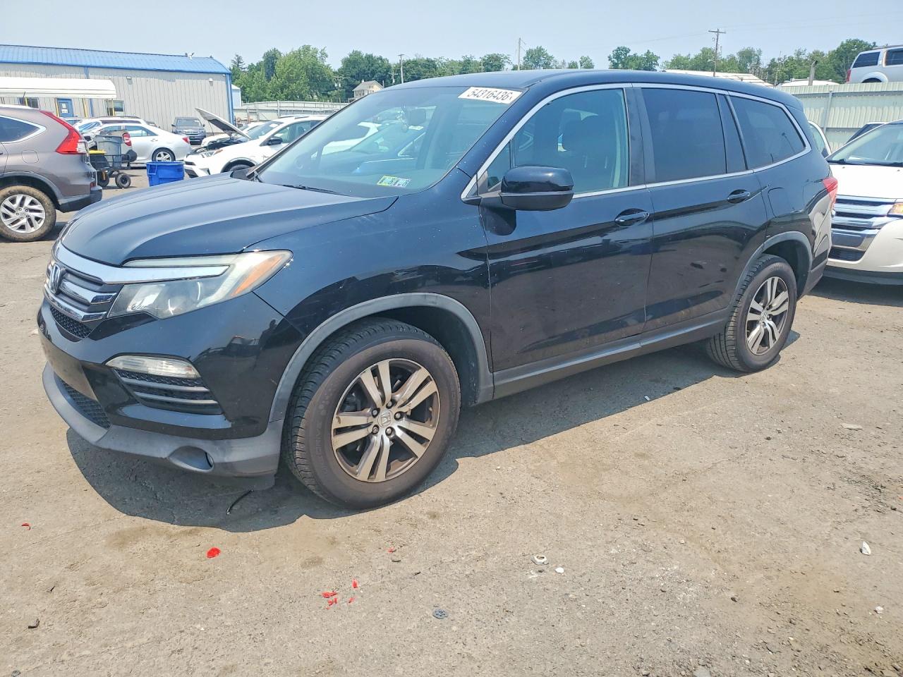 5FNYF6H72GB081309 · 2016 HONDA PILOT