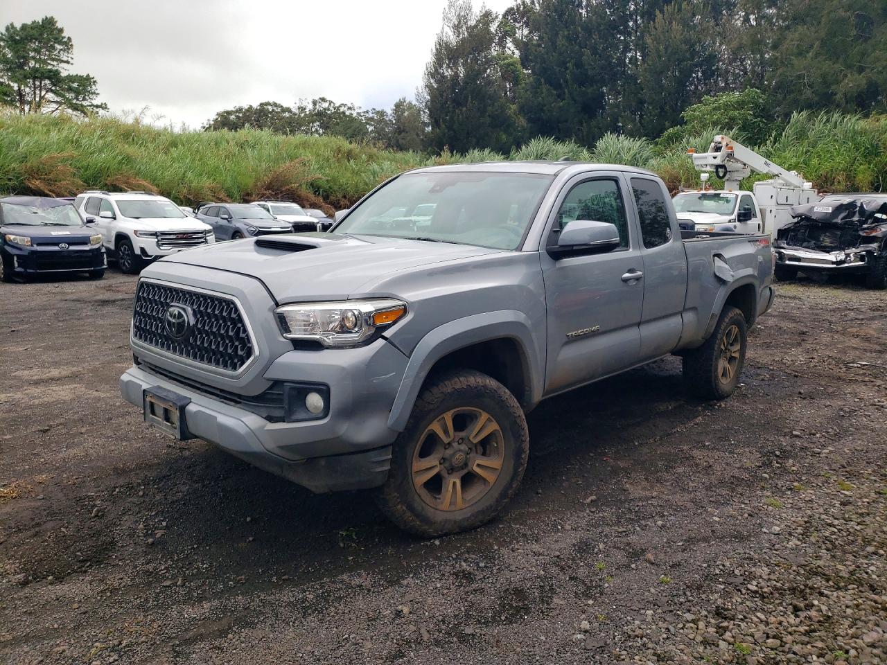 5TFSZ5AN8KX165617 · 2019 TOYOTA TACOMA