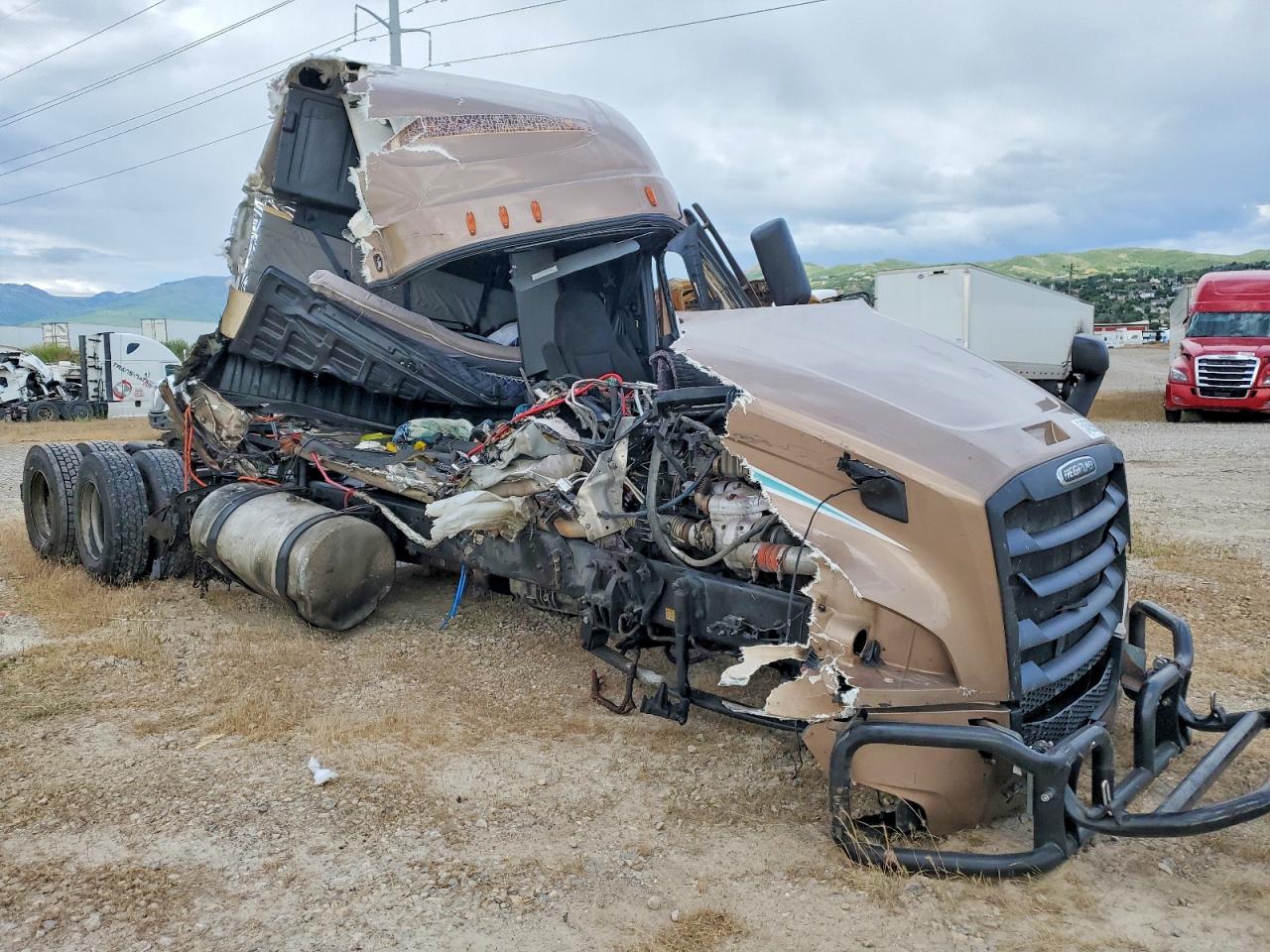 3AKJHHDR4MSMH2204 · 2021 FREIGHTLINER CASCADIA 126