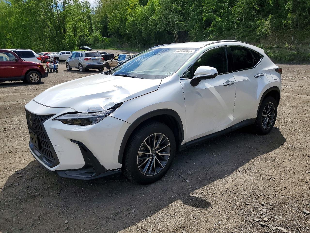 JTJADCEZ1P5000858 · 2023 LEXUS NX