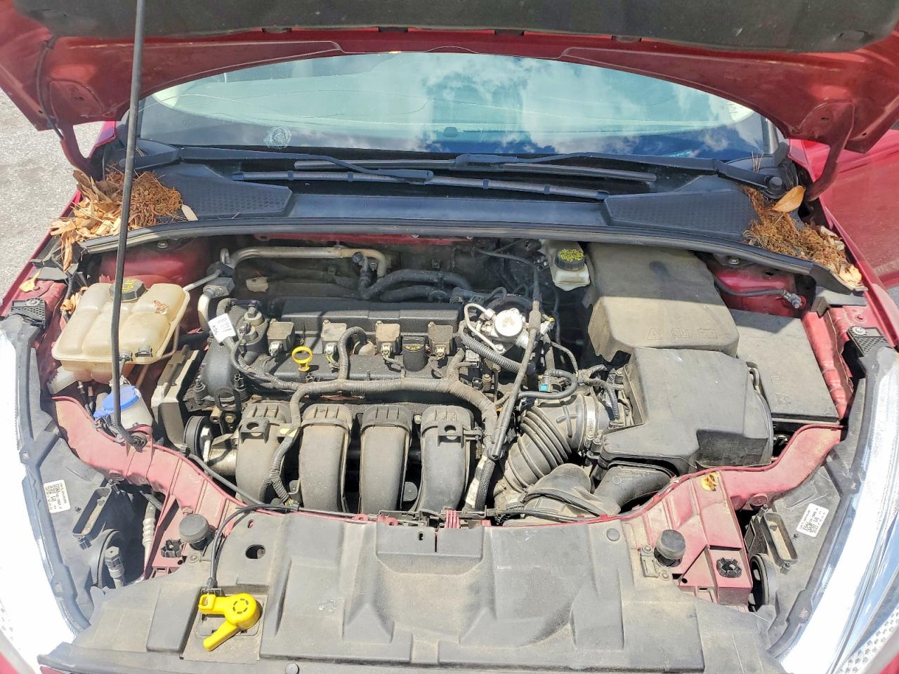 1FADP3K29HL297847 · 2017 FORD FOCUS · 11/12
