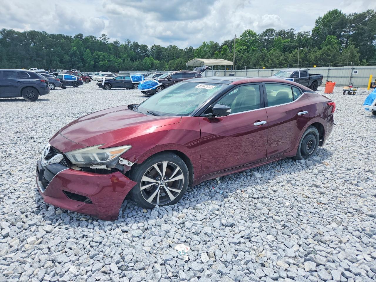 1N4AA6AP9GC902659 · 2016 NISSAN MAXIMA