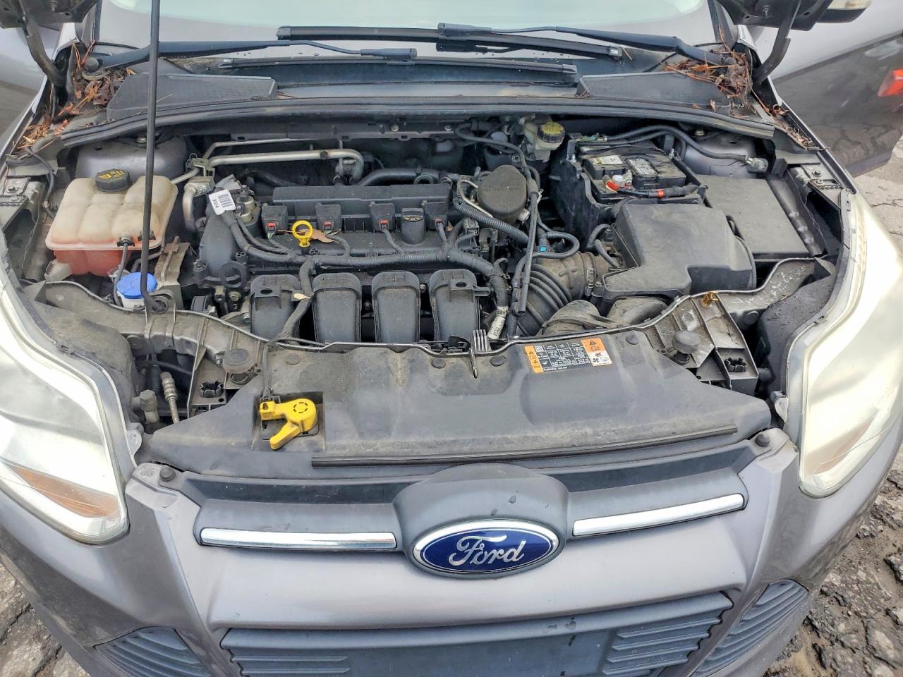 1FADP3F21EL446855 · 2014 FORD FOCUS · 11/12