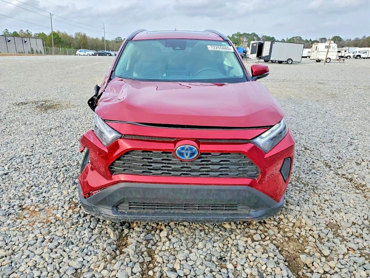 2T3RWRFV6RW243463 · 2024 TOYOTA RAV4 HYBRID · 5/13