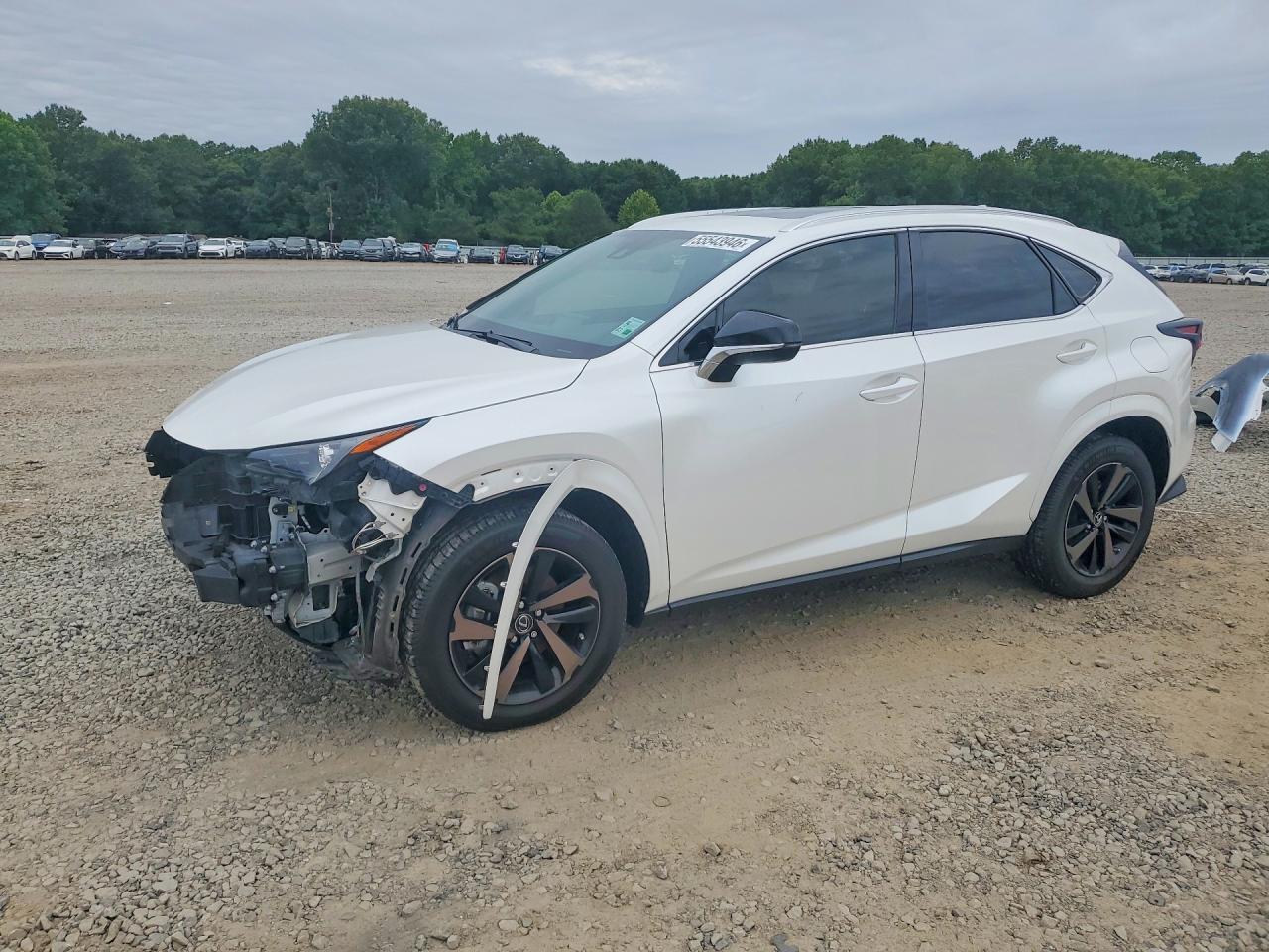 JTJGARBZ5L2168475 · 2020 LEXUS NX