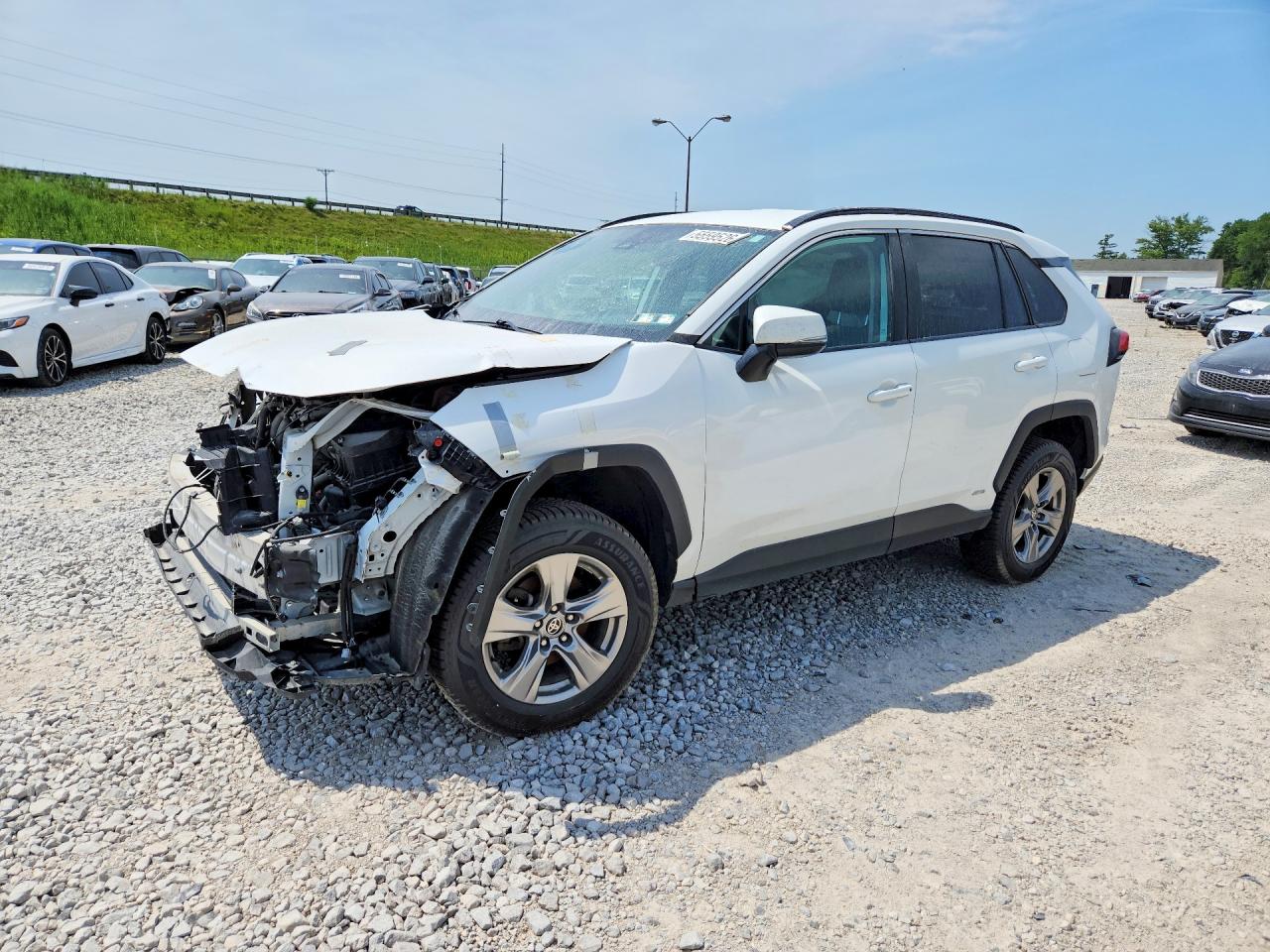 2T3RWRFV0RW219045 · 2024 TOYOTA RAV4 HYBRID