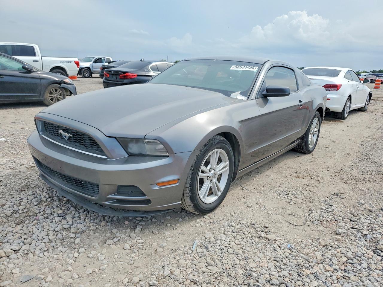1ZVBP8AMXE5277539 · 2014 FORD MUSTANG