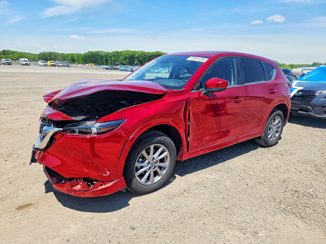 JM3KFBCM0S0685919 · 2025 MAZDA CX-5