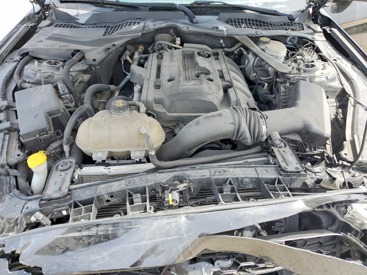 1FATP8UH1J5117782 · 2018 FORD MUSTANG · 11/13