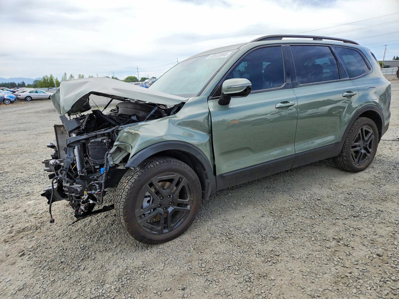 5XYP5DGC1SG705619 · 2025 KIA TELLURIDE