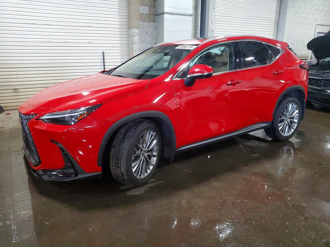 2T2HGCEZ5RC055209 · 2024 LEXUS NX