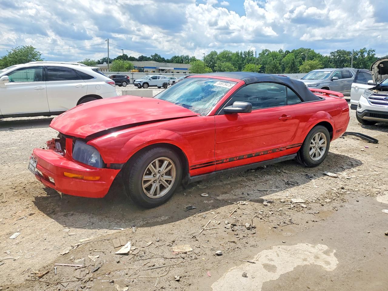 1ZVFT84N365224846 · 2006 FORD MUSTANG