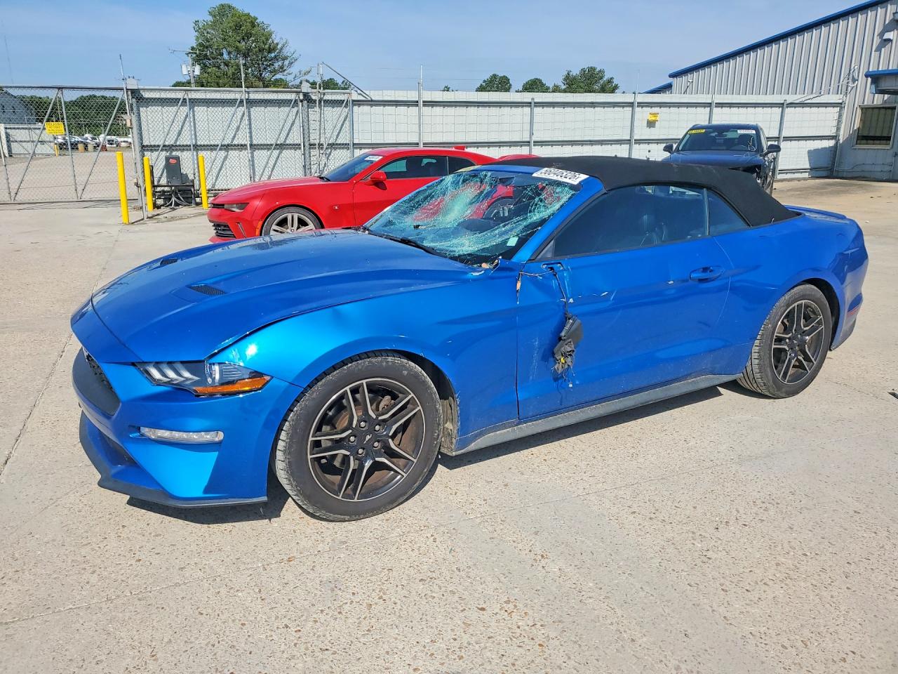 1FATP8UHXM5101004 · 2021 FORD MUSTANG