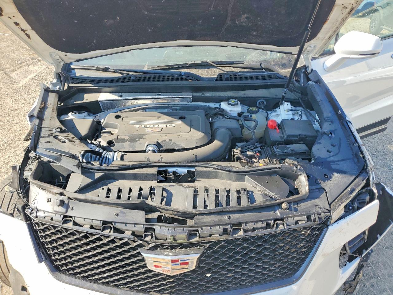 1GYFZFR46RF180226 · 2024 CADILLAC XT4 · 12/13