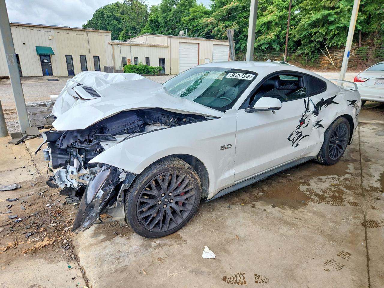 1FA6P8CF7L5174875 · 2020 FORD MUSTANG