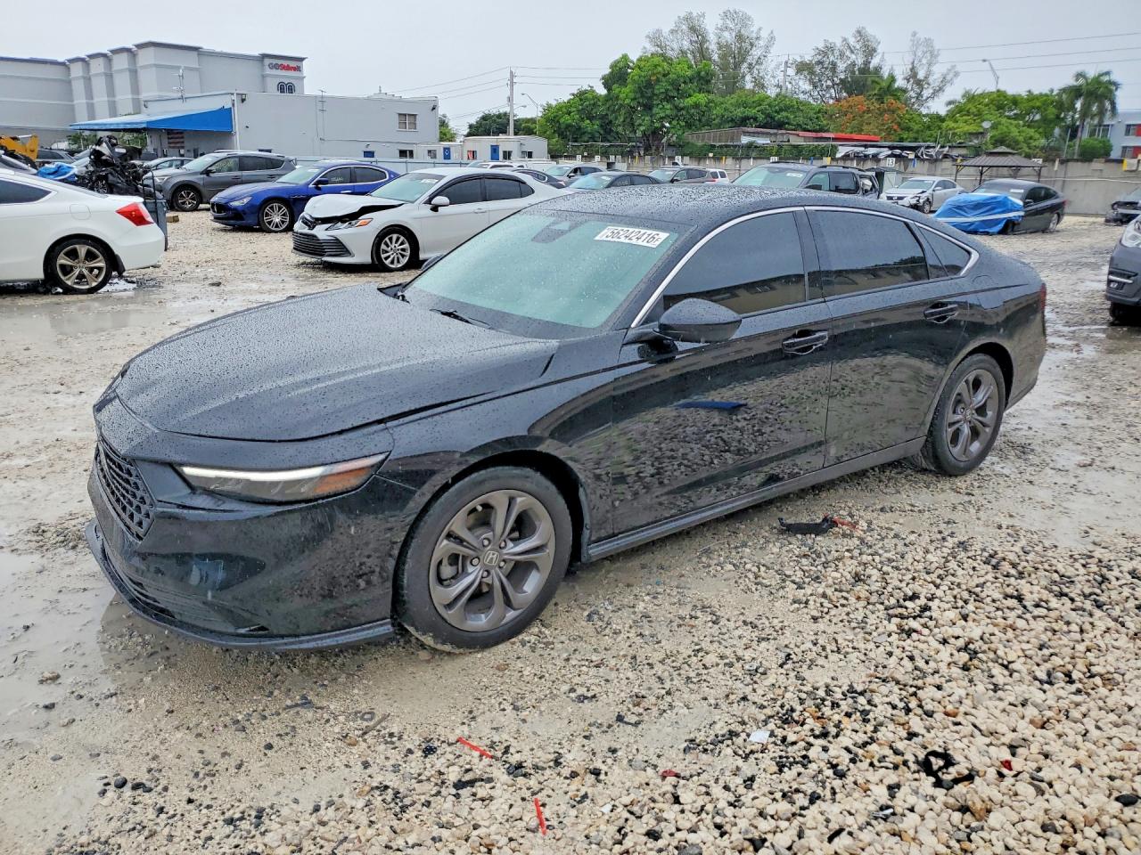1HGCY1F34RA075466 · 2024 HONDA ACCORD