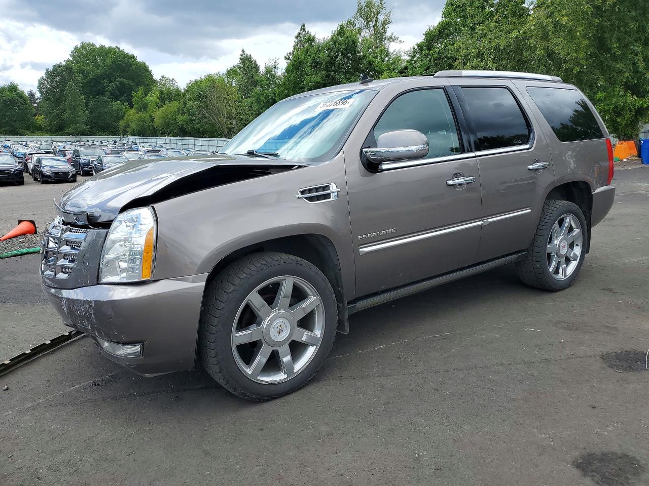 1GYS4CEFXBR371123 · 2011 CADILLAC ESCALADE