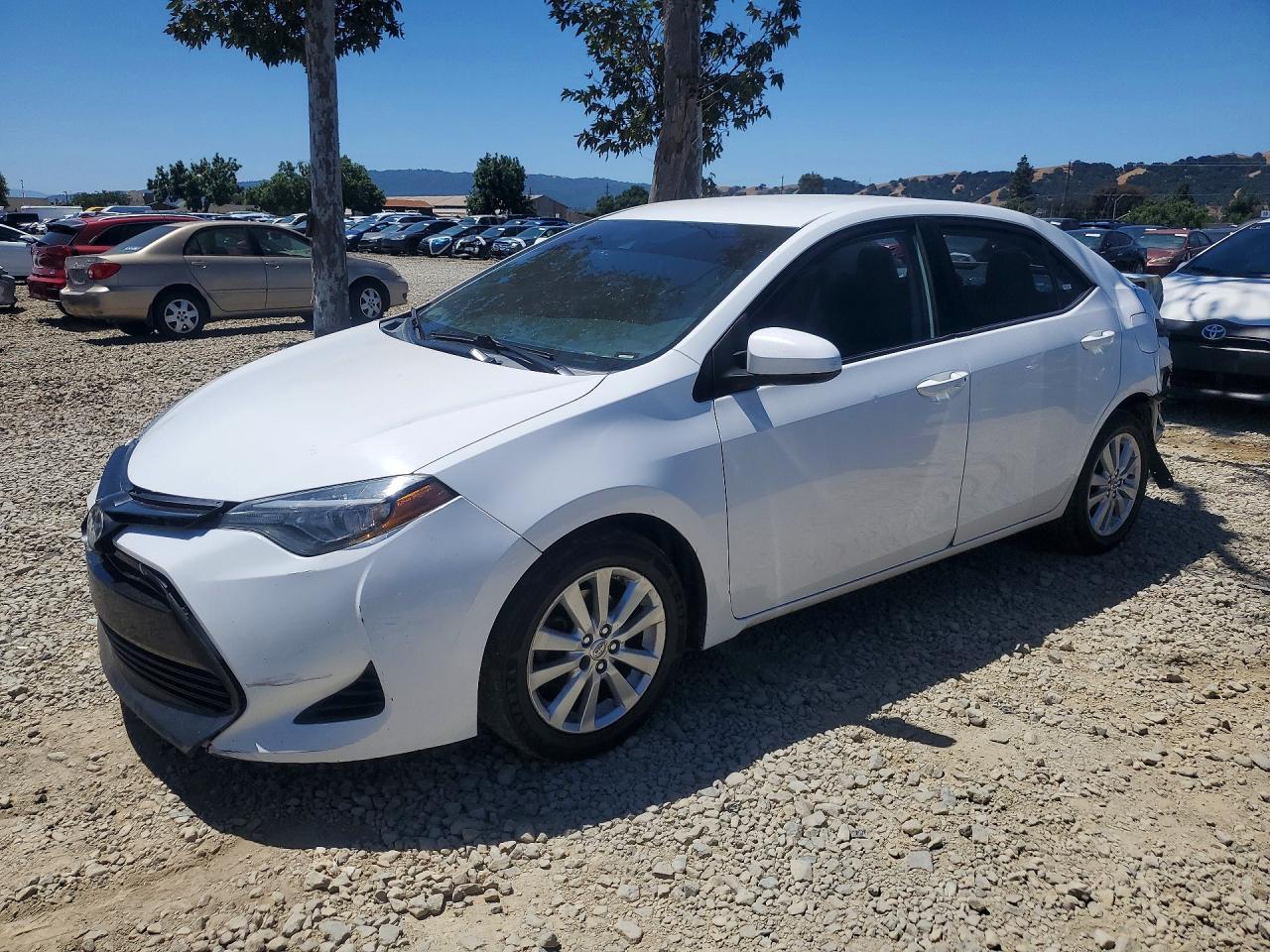 2T1BURHE9KC225284 · 2019 TOYOTA COROLLA